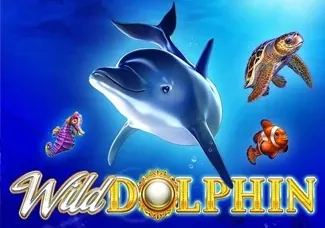 Wild Dolphin